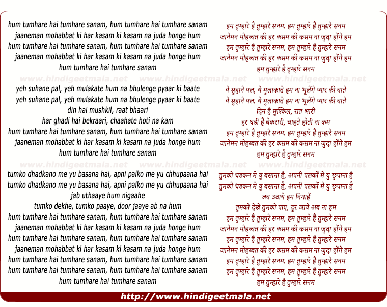 lyrics of song Hum Tumhare Hain Sanam