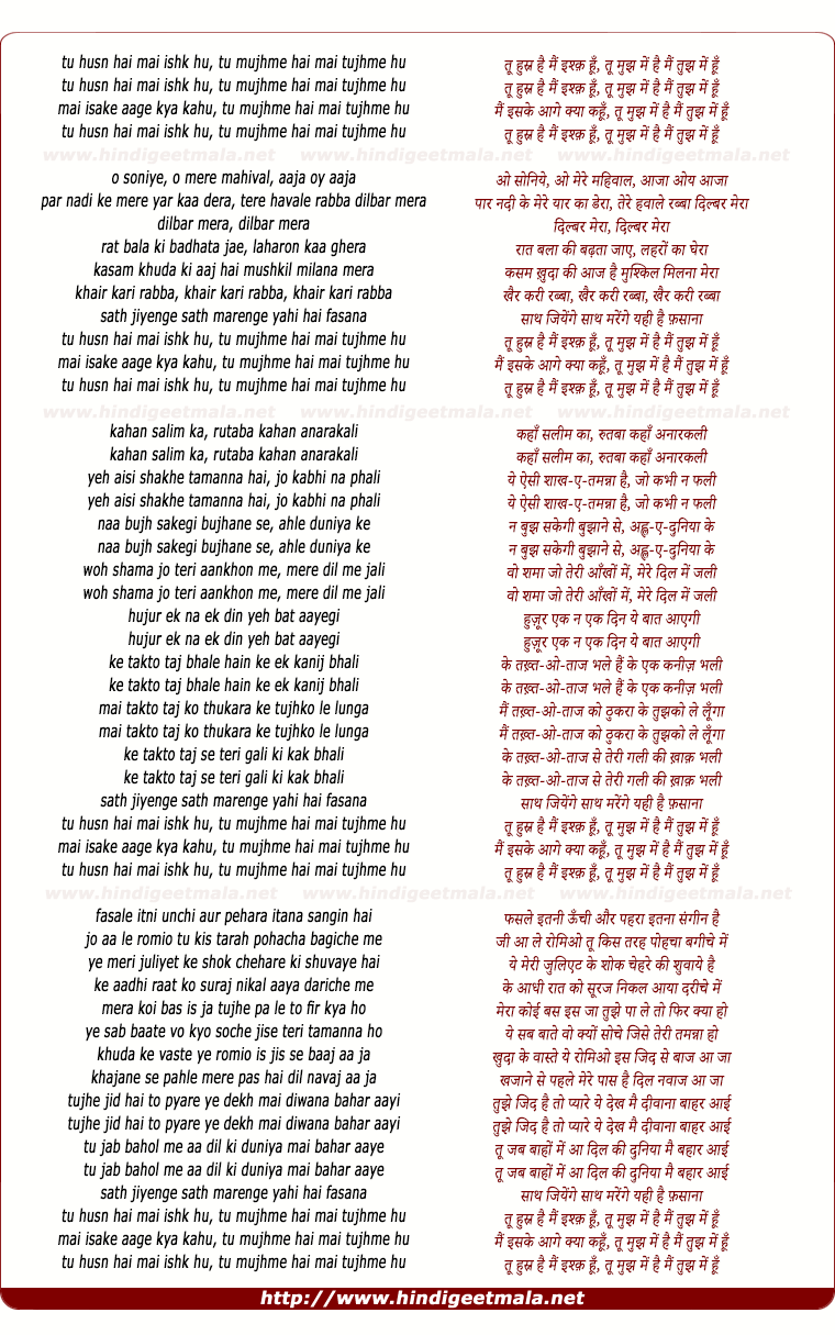 lyrics of song Tu Husn Hai Mai Ishk Hu