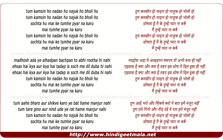 lyrics of song Tum Kamsin Ho Nadan Ho Nazuk Ho Bholi Ho