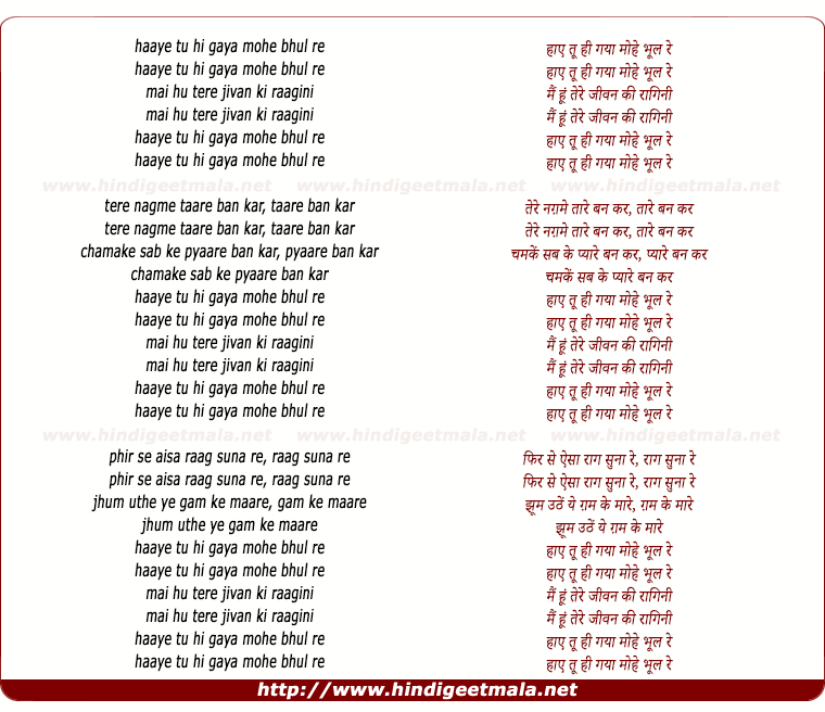 lyrics of song Haye Tu Hi Gayaa Mohe Bhul Re