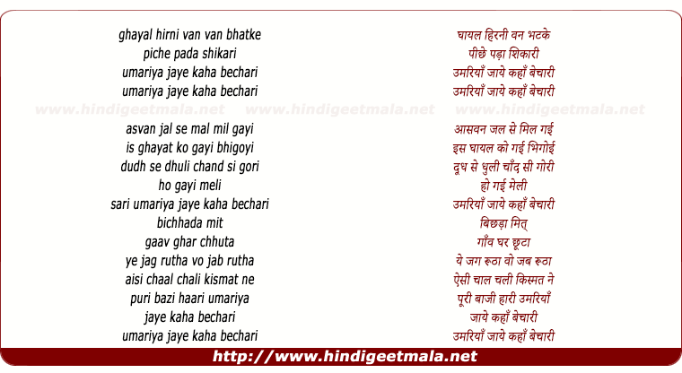 lyrics of song Ghayal Hirni Van Van Bhatke