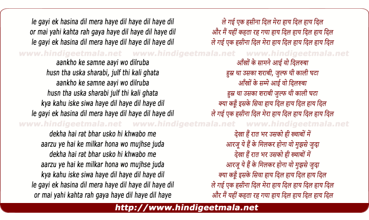 lyrics of song Le Gayi Ek Haseena Dil Mera Haye Dil Haye Dil