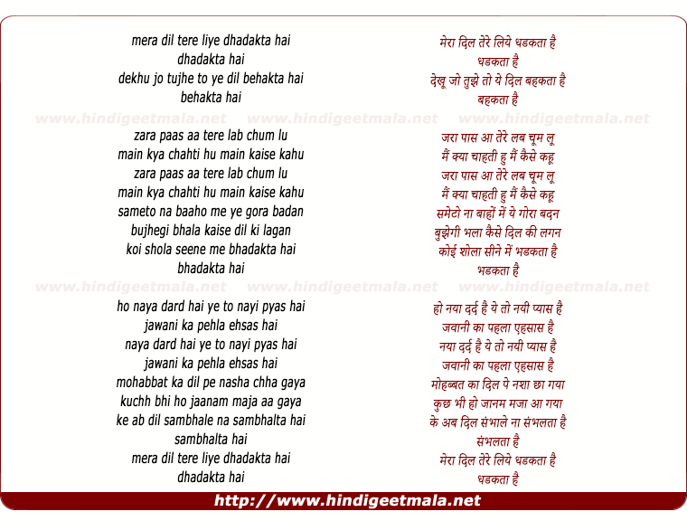 lyrics of song Mera Dil Tere Liye Dhadkta Hai