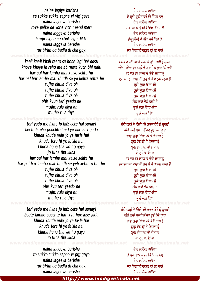 Tujhe Bhula Diya (Remix) - नैना लगिया बारिशा